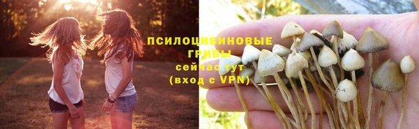 бошки Белоозёрский