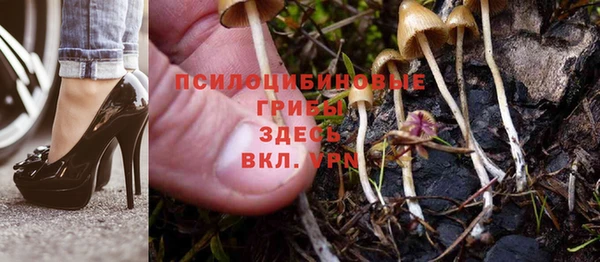 прущие крисы Баксан