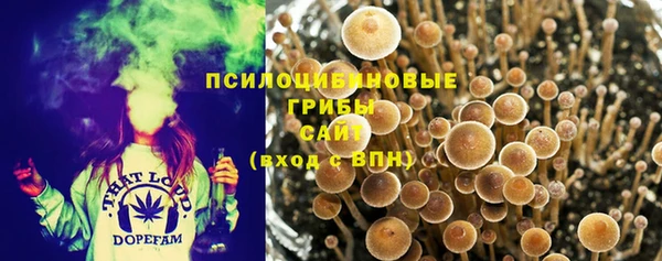 бошки Белоозёрский