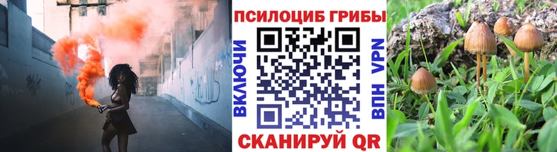 Галлюциногенные грибы прущие грибы  закладка  Волхов 
